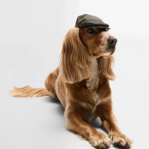 Olive Barbour Waxed Cotton Dog Flat Cap