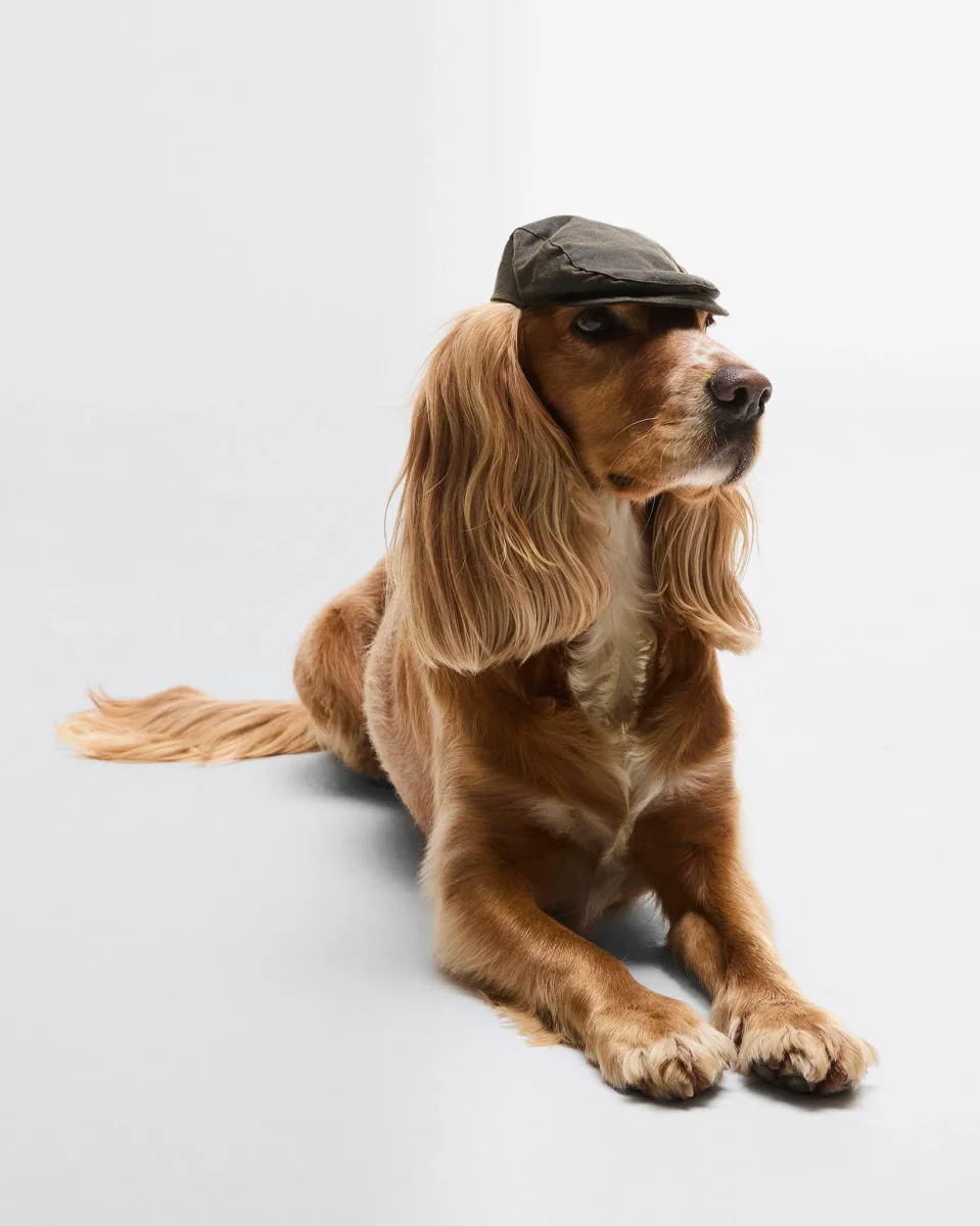 Olive Barbour Waxed Cotton Dog Flat Cap