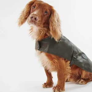 Olive Barbour Waxed Cotton Dog Coat